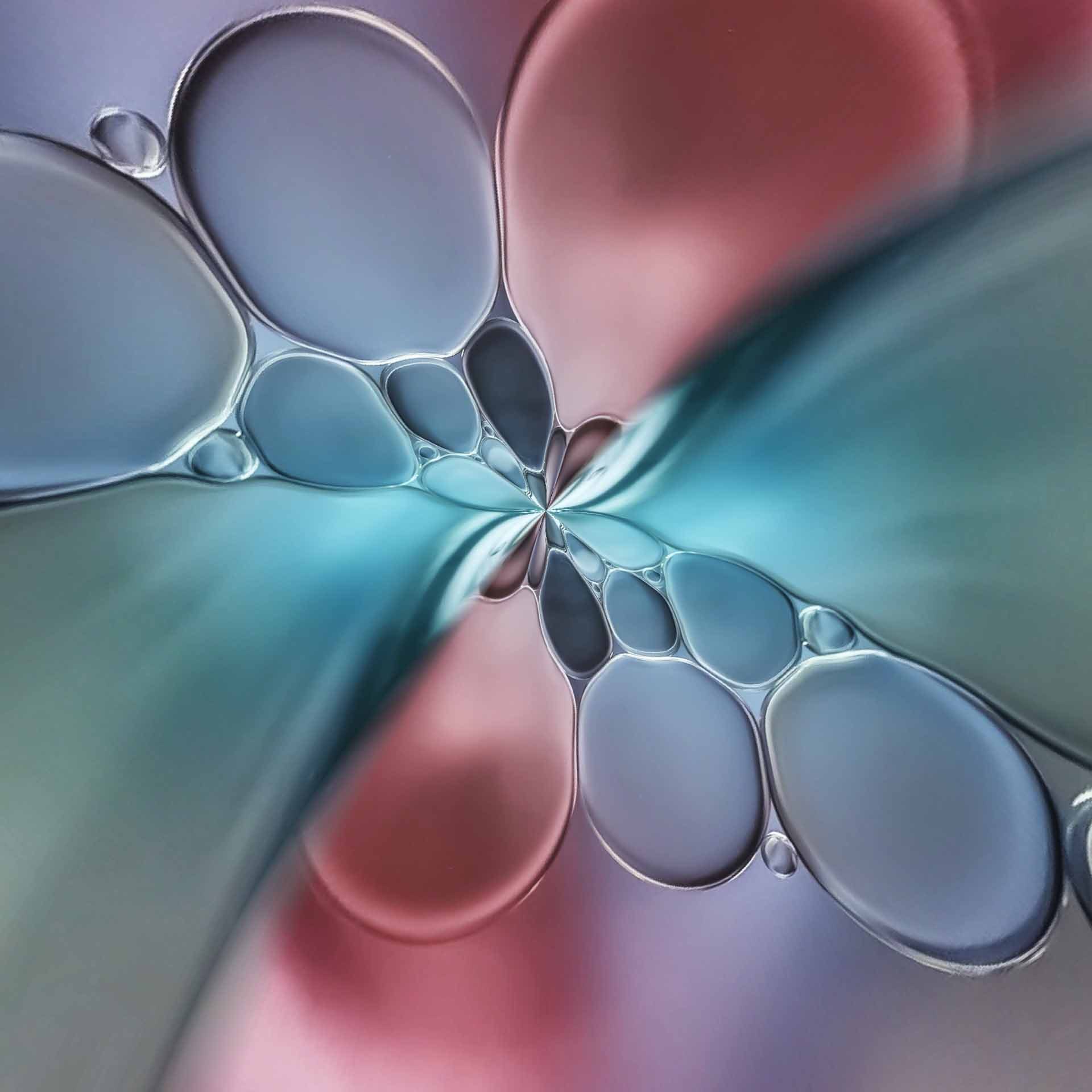 Butterfly Broken